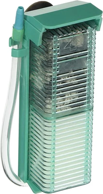 acuarioscondal835074