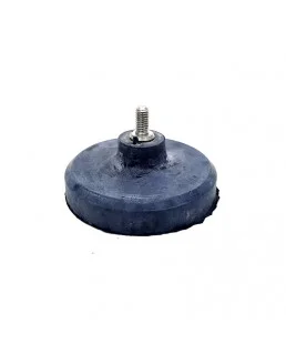 acuarioscondal843988