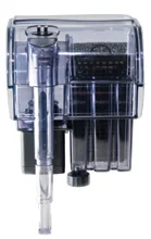 acuarioscondal849186