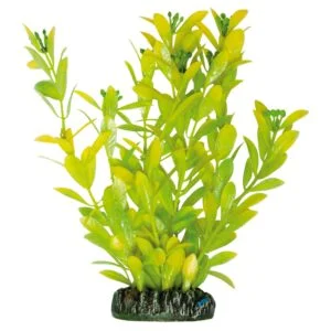 acuarioscondal851065