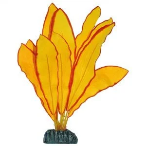 acuarioscondal855192