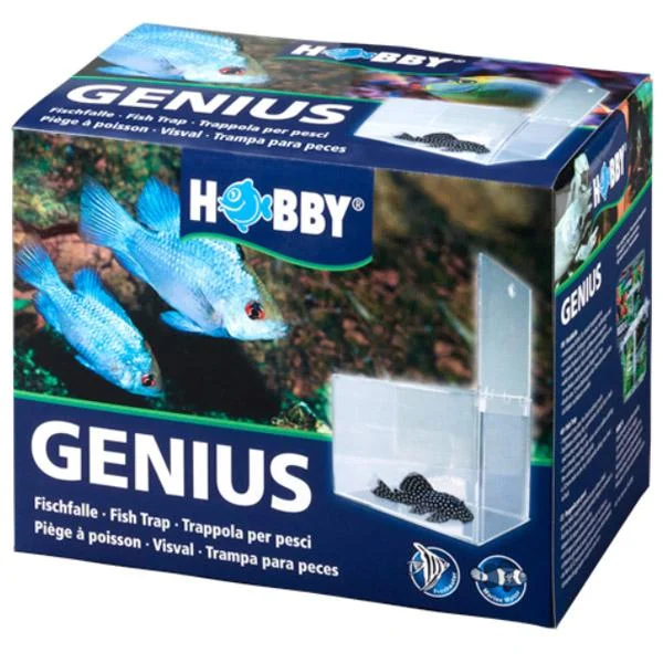 bao-aquarium125960