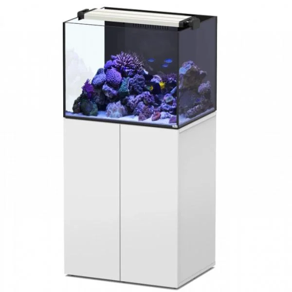 bao-aquarium126284