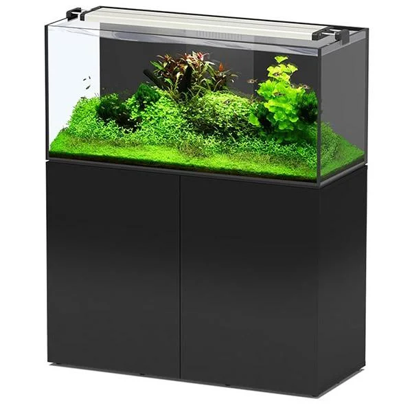 bao-aquarium126287