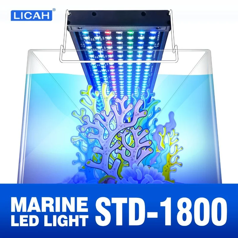 bao-aquarium126326