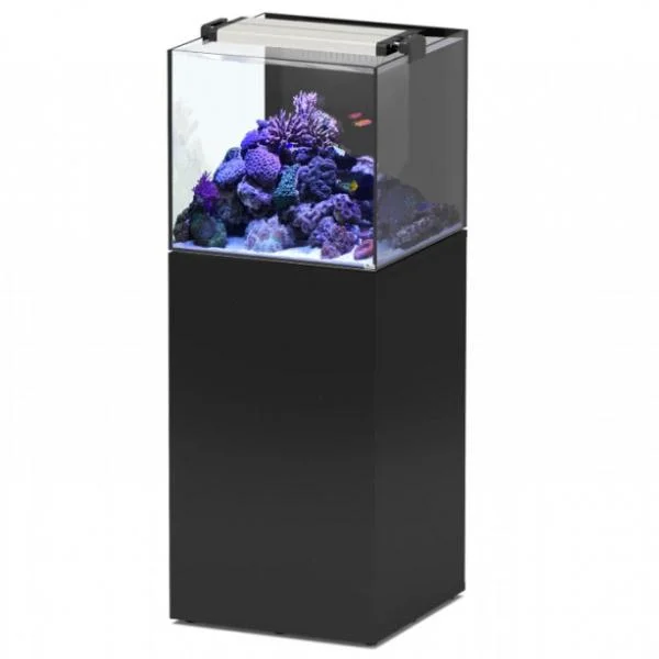 bao-aquarium126978