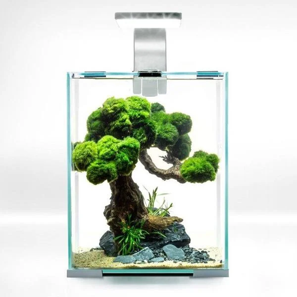 bao-aquarium127132