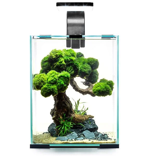 bao-aquarium127137