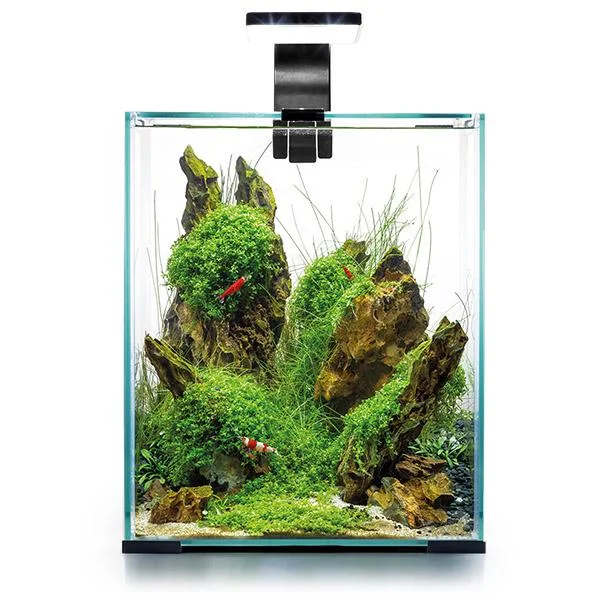 bao-aquarium127143