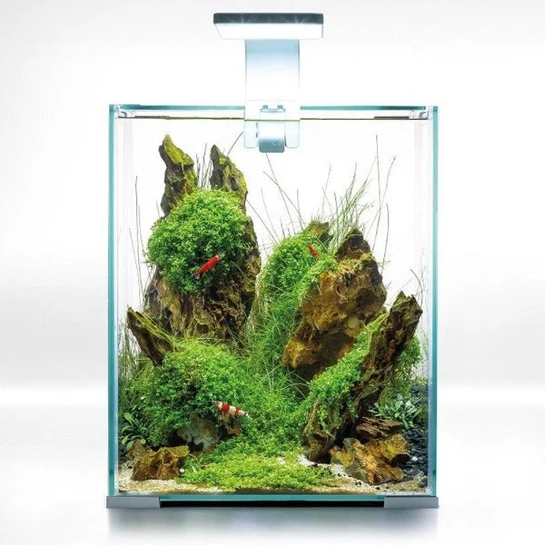 bao-aquarium127150