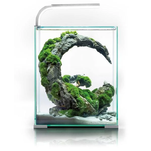 bao-aquarium127155