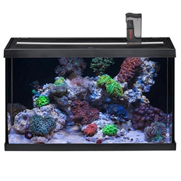 bao-aquarium127316