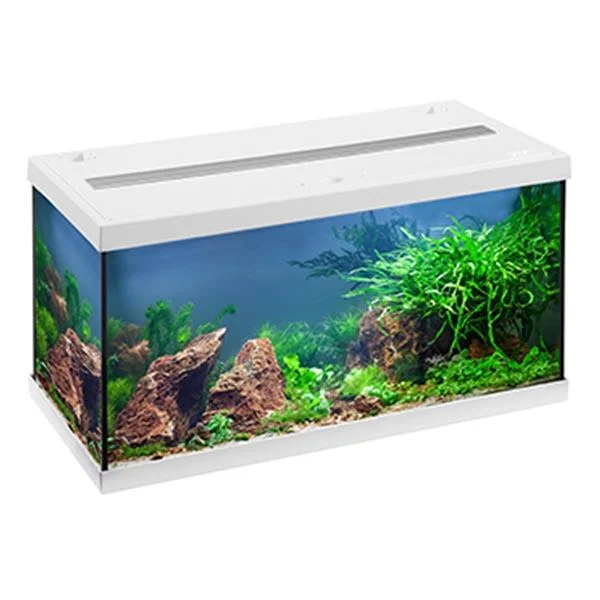 bao-aquarium127325