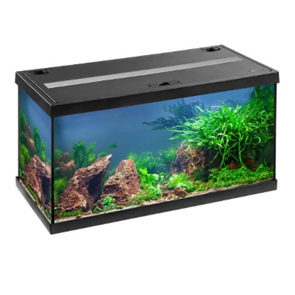 bao-aquarium127330