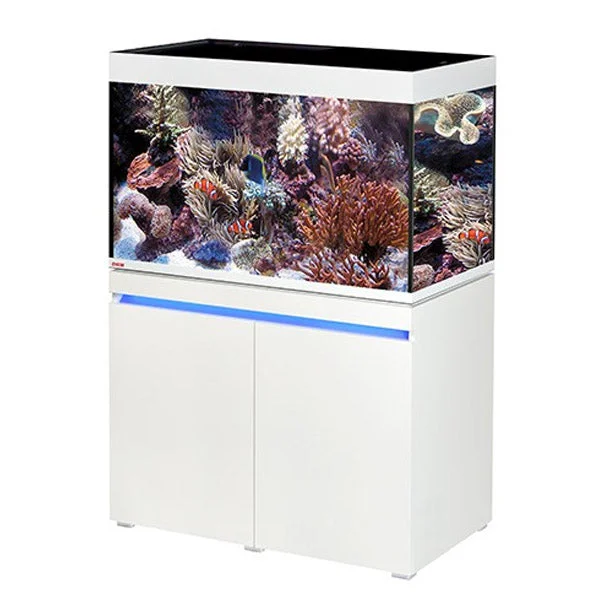 bao-aquarium127367