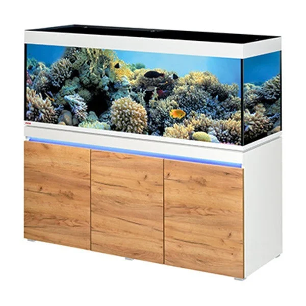 bao-aquarium127418