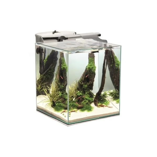 bao-aquarium127428