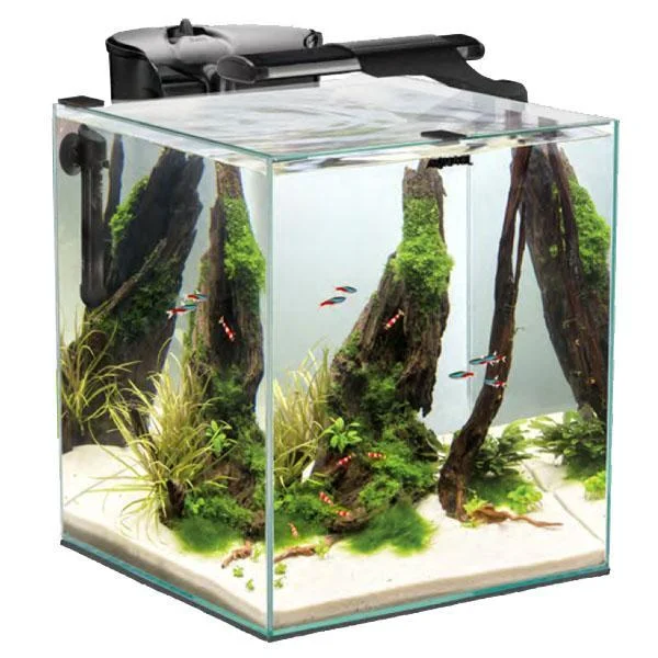 bao-aquarium127435