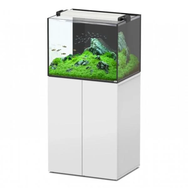 bao-aquarium127478