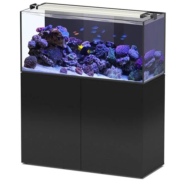 bao-aquarium127512