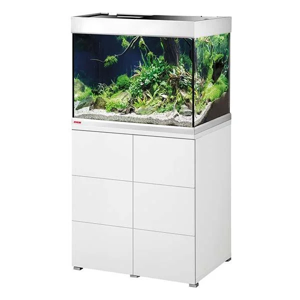 bao-aquarium127678
