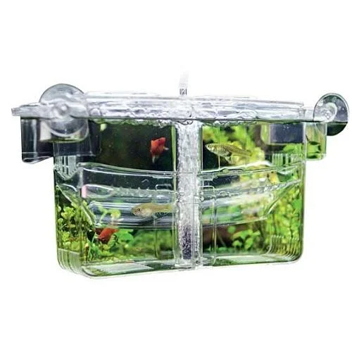 bao-aquarium127871