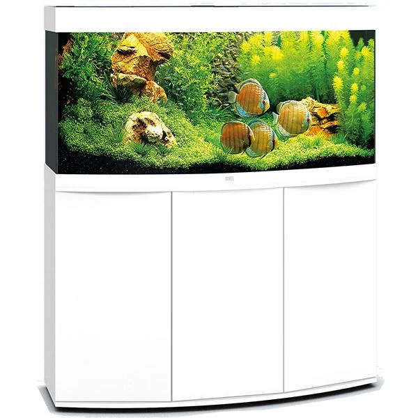 bao-aquarium128006