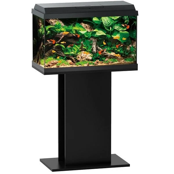 bao-aquarium128085