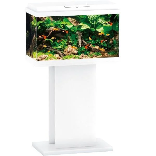 bao-aquarium128089