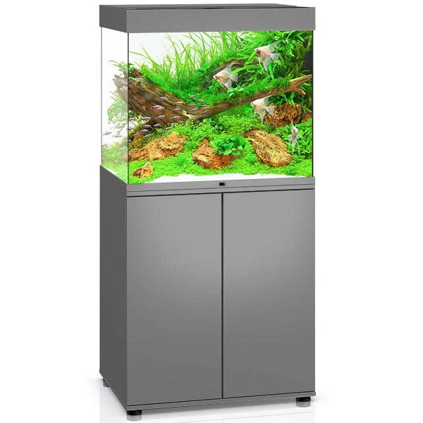 bao-aquarium128135