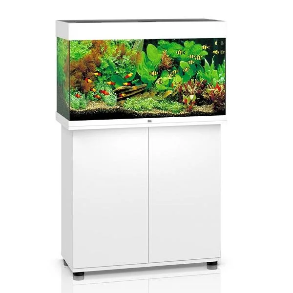 bao-aquarium128147