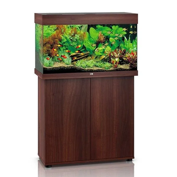 bao-aquarium128158