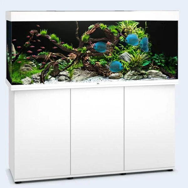 bao-aquarium128229