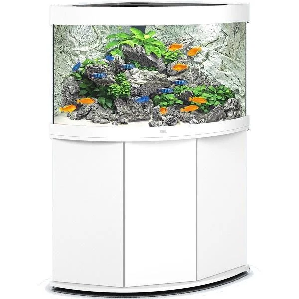 bao-aquarium128257