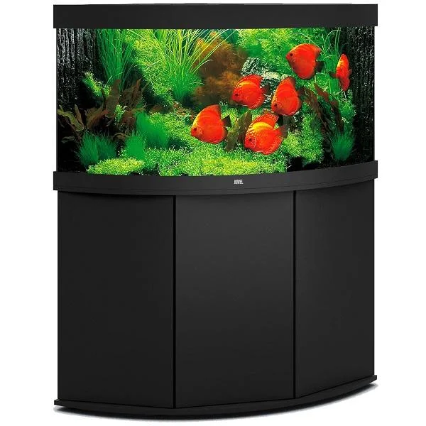 bao-aquarium128274