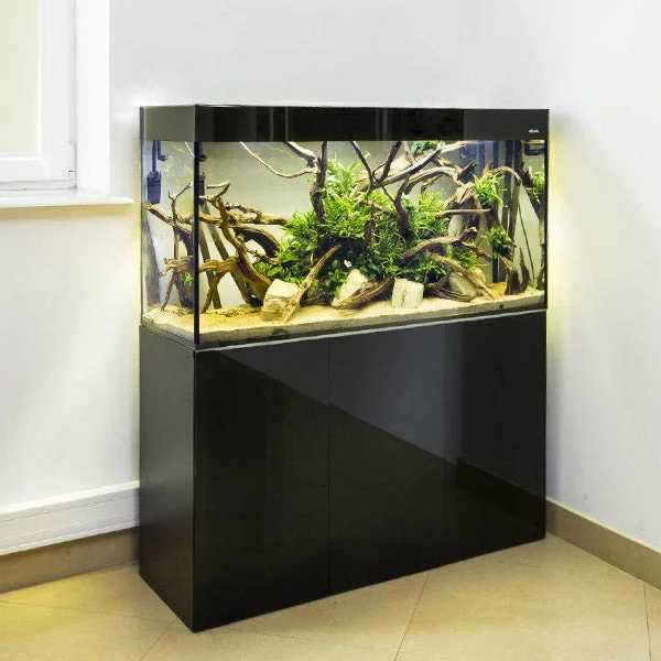 bao-aquarium128367