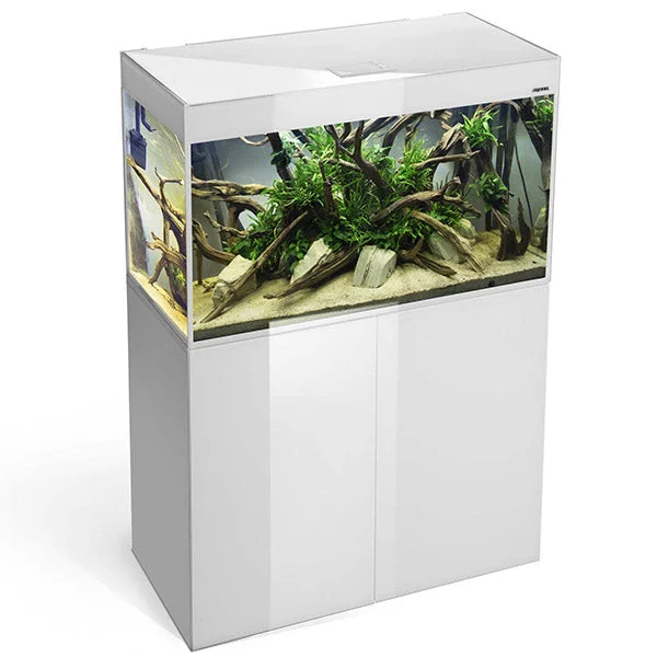 bao-aquarium128396