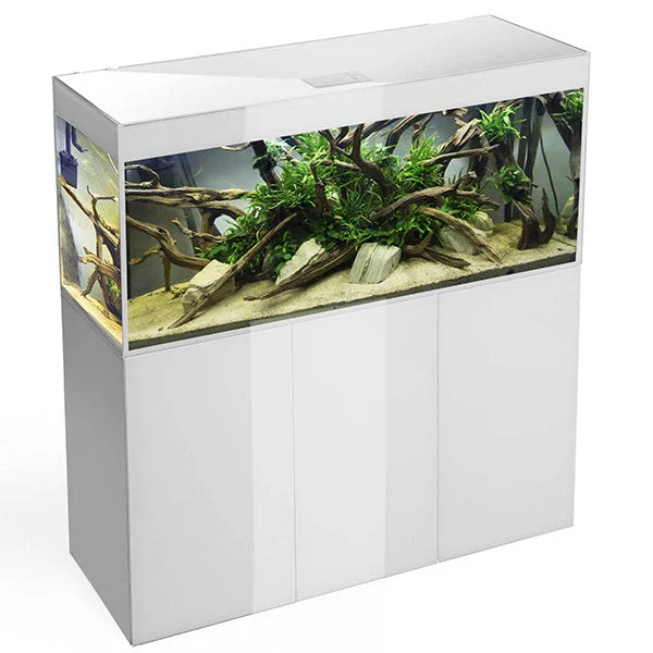 bao-aquarium128407
