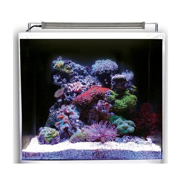 bao-aquarium128417