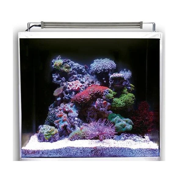 bao-aquarium128423