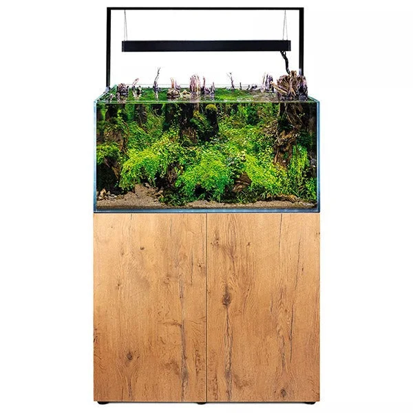 bao-aquarium128522