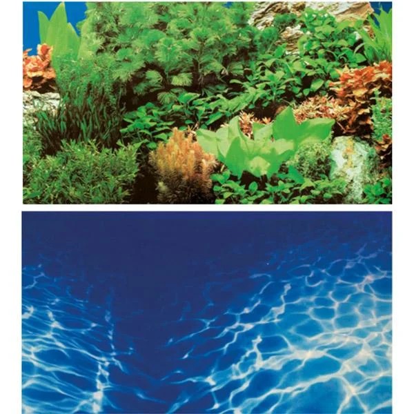 bao-aquarium128756
