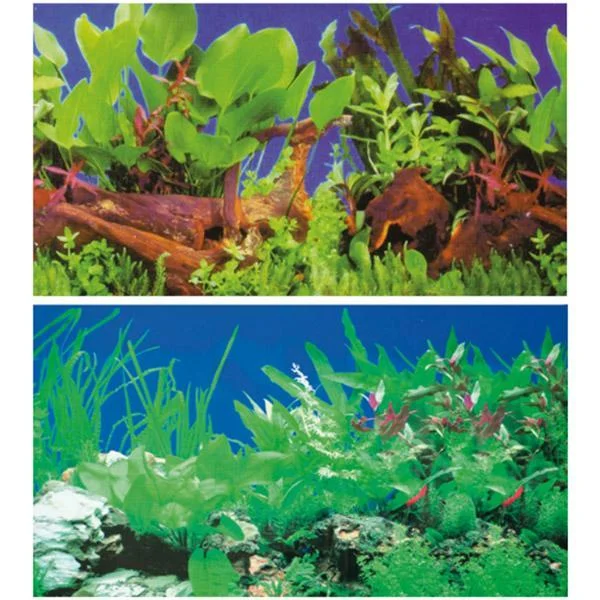 bao-aquarium128778