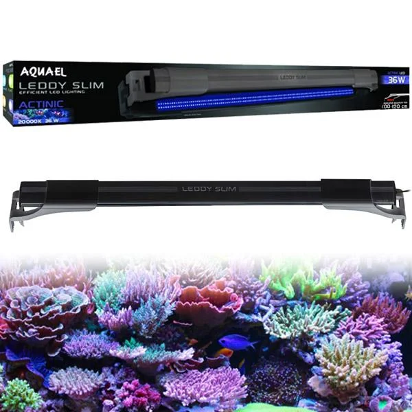 bao-aquarium129098