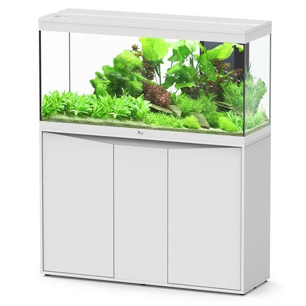 bao-aquarium130096