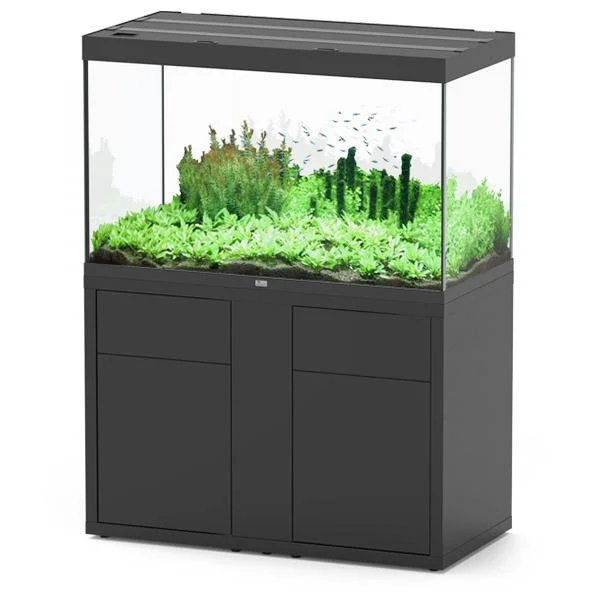 bao-aquarium130146