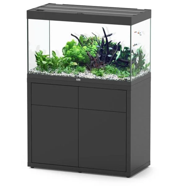 bao-aquarium130284