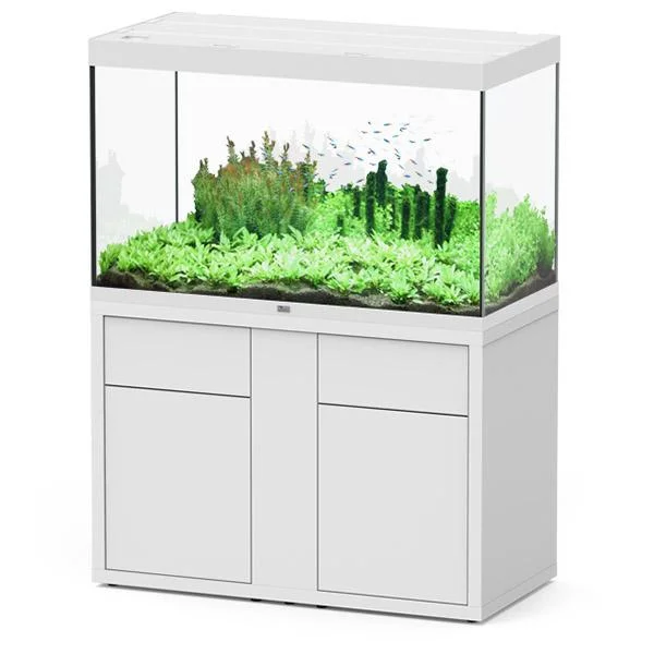 bao-aquarium130343