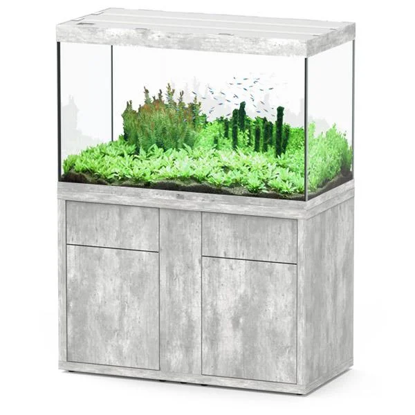 bao-aquarium130350