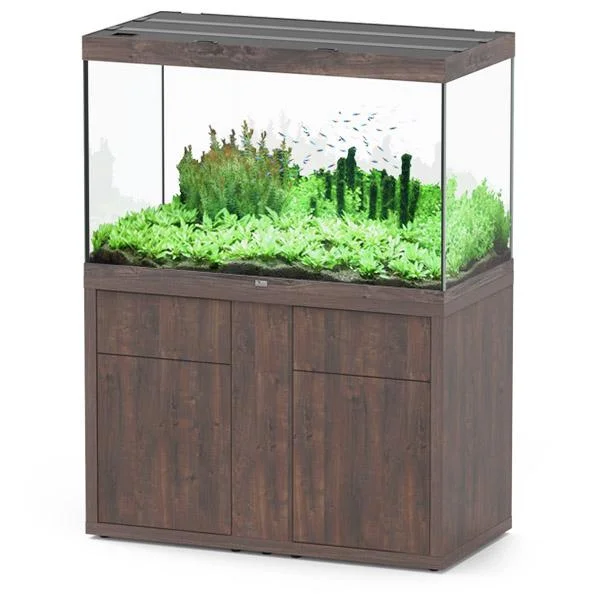 bao-aquarium130356